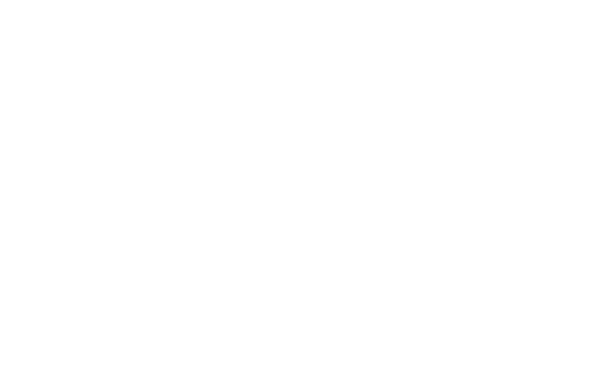MBO Visions logosu